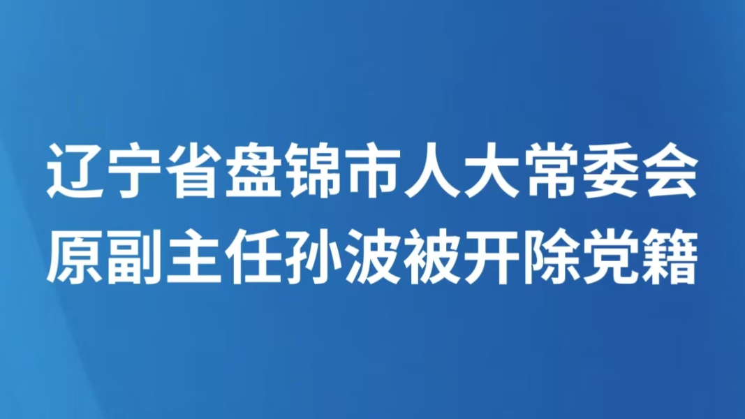 辽宁省盘锦市人大常委会原副主任孙波被开除党籍