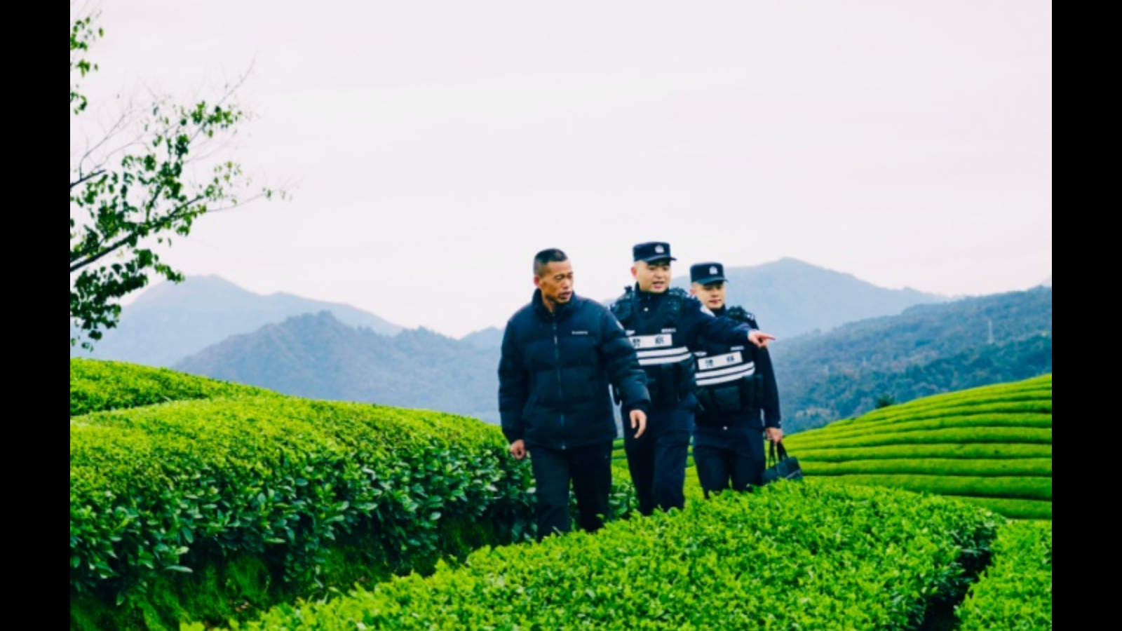 湖北鹤峰走马派出所：一抹藏青蓝 绘出“枫警”镇