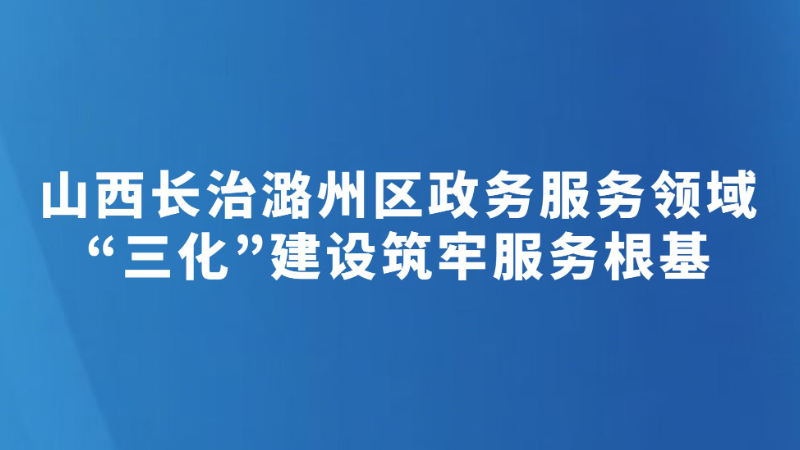 山西长治潞州区政务服务领域“三化”建设筑牢服务根基