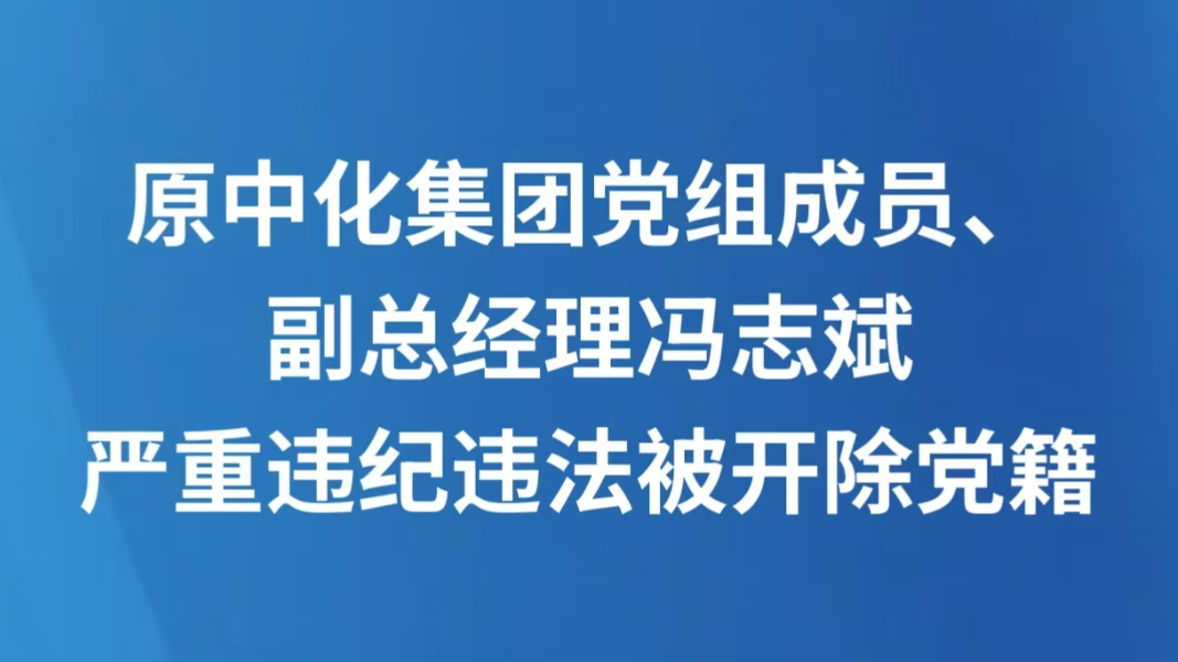原中化集团党组成员、副总经理冯志斌严重违纪违法被开除党籍