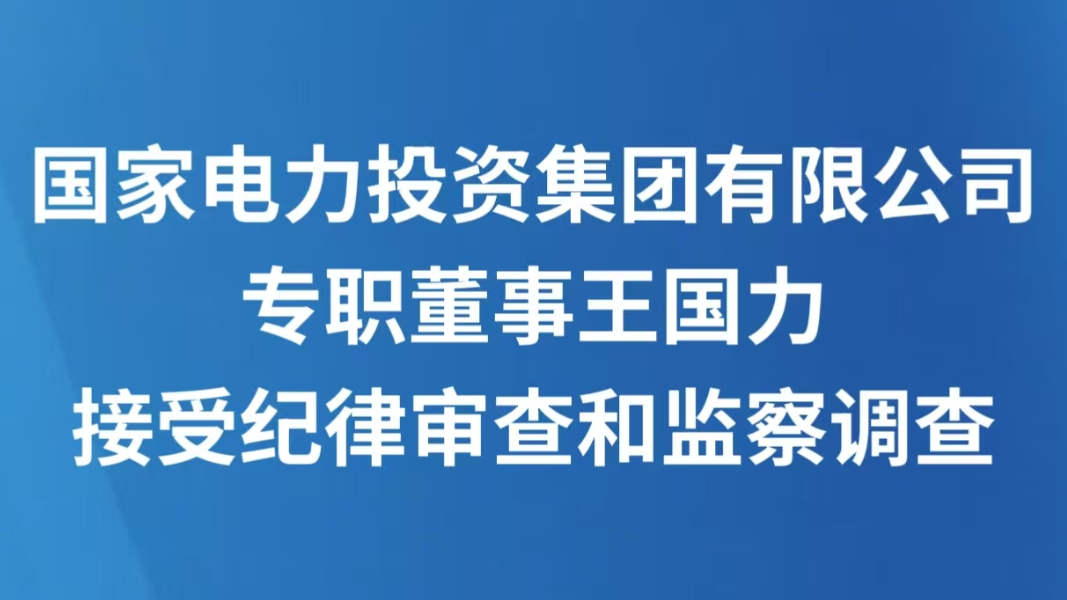 国家电力投资集团有限公司专职董事王国力接受纪律审查和监察调查