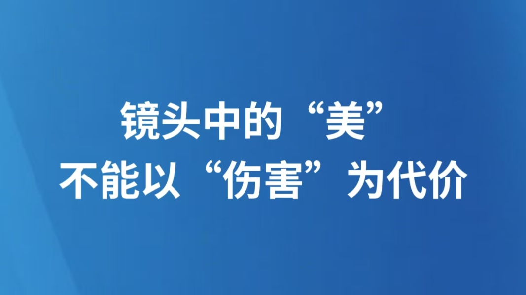 镜头中的“美”不能以“伤害”为代价