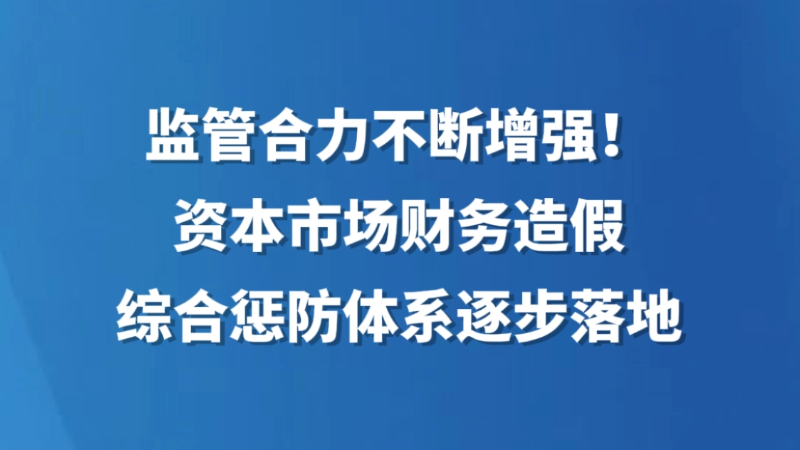 监管合力不断增强！资本市场财务造假综合惩防体系逐步落地