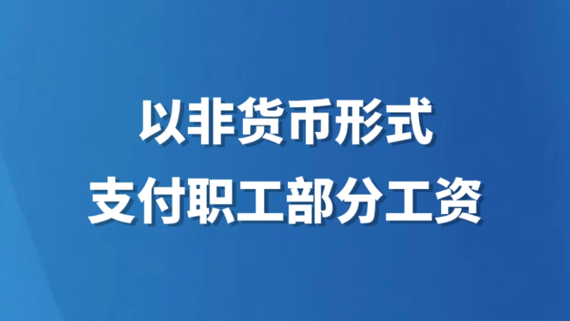 以非货币形式支付职工部分工资