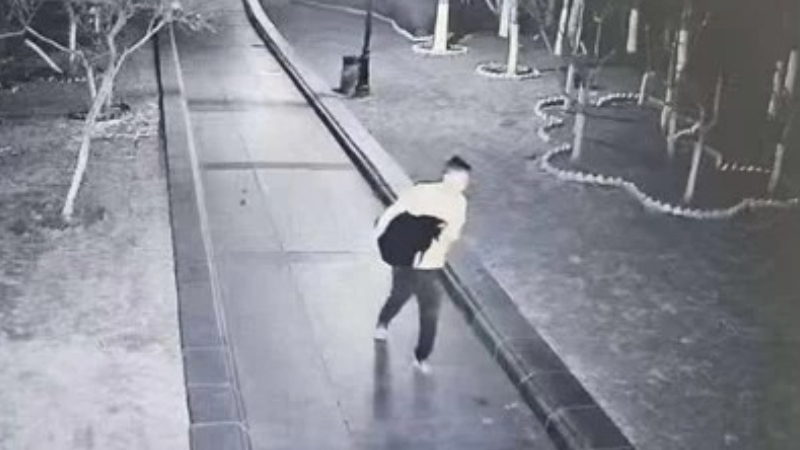 大连儿童公园一黑天鹅被盗食 市民自掏腰包购买黑天鹅放生