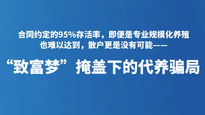 “致富梦”掩盖下的代养骗局