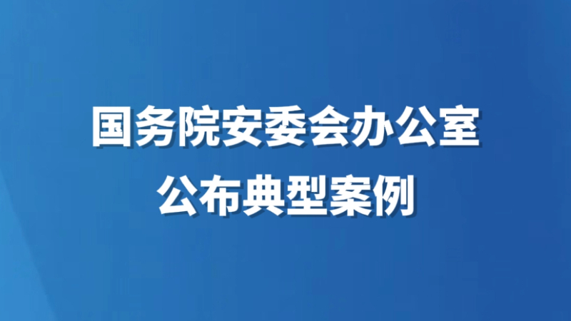 国务院安委会办公室公布典型案例
