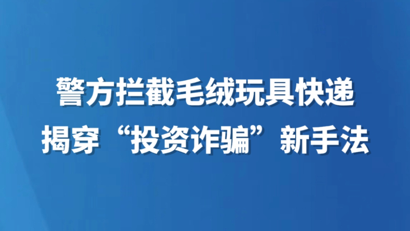 警方拦截毛绒玩具快递 揭穿“投资诈骗”新手法