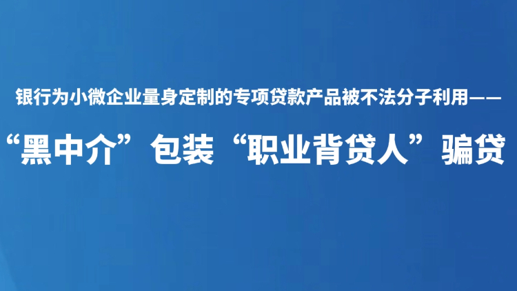 “黑中介”包装“职业背贷人”骗贷