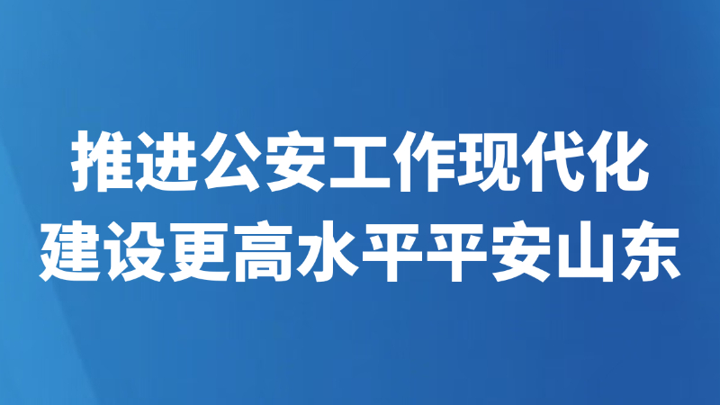 推进公安工作现代化 建设更高水平平安山东