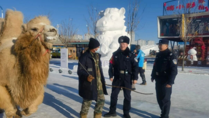 巡逻防控“不打烊” 吉林梅河公安守护平安“零距离”