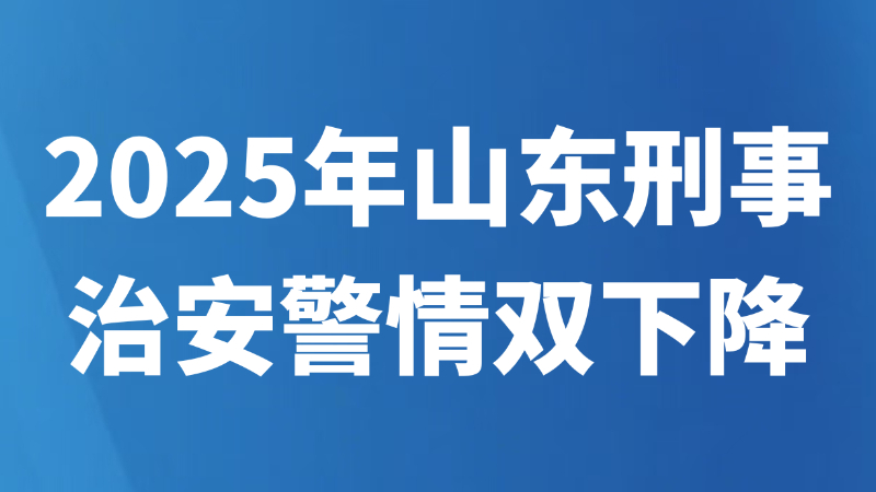 2025年山东刑事治安警情双下降