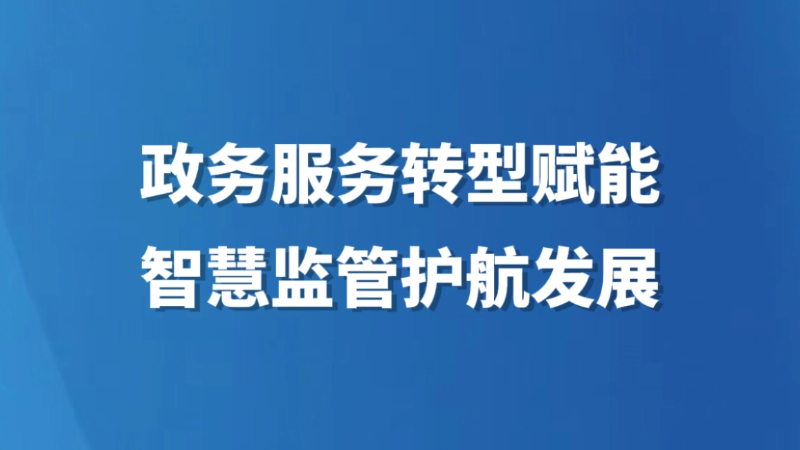 政务服务转型赋能 智慧监管护航发展