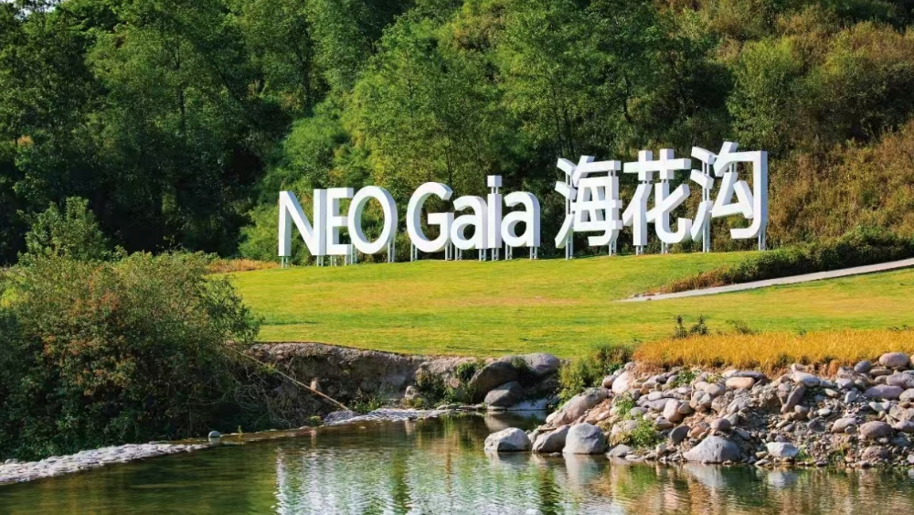 “可停下来生活的地方”——海花沟以自然意境获康养专家推崇