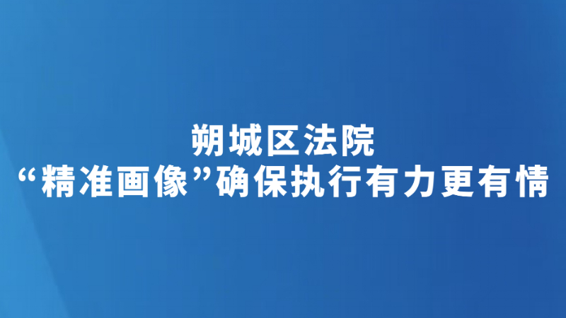 朔城区法院“精准画像”确保执行有力更有情