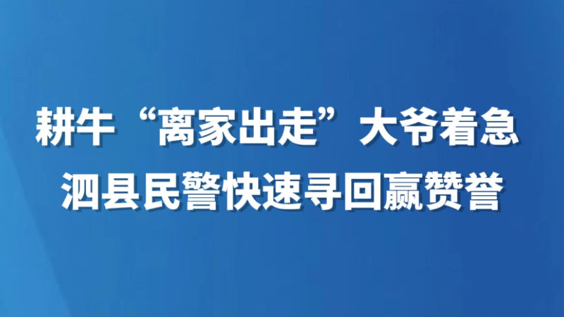 耕牛“离家出走”大爷着急 泗县民警快速寻回赢赞誉