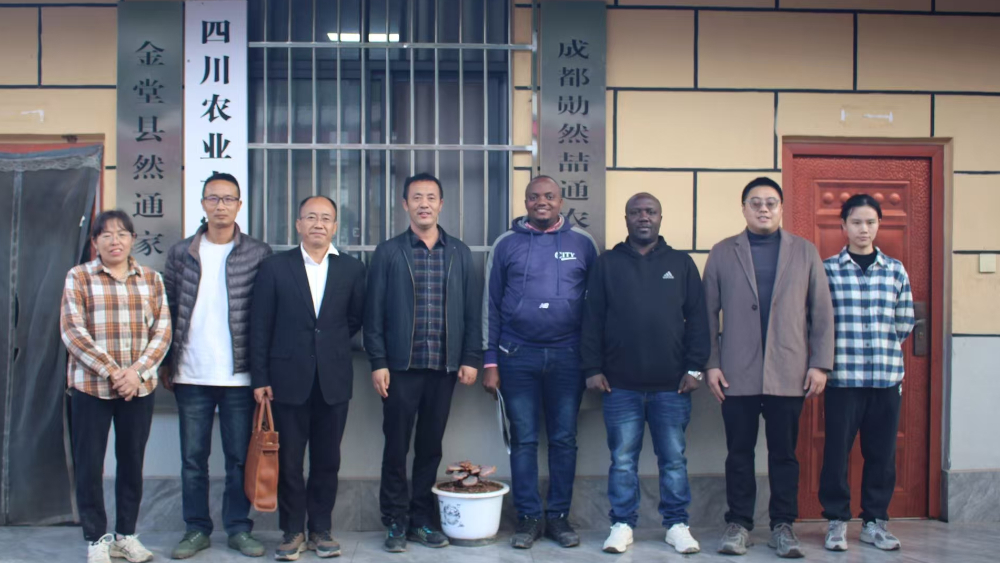 中非菌业合作新篇章：金堂经验赴布隆迪 技术交流促产业共赢