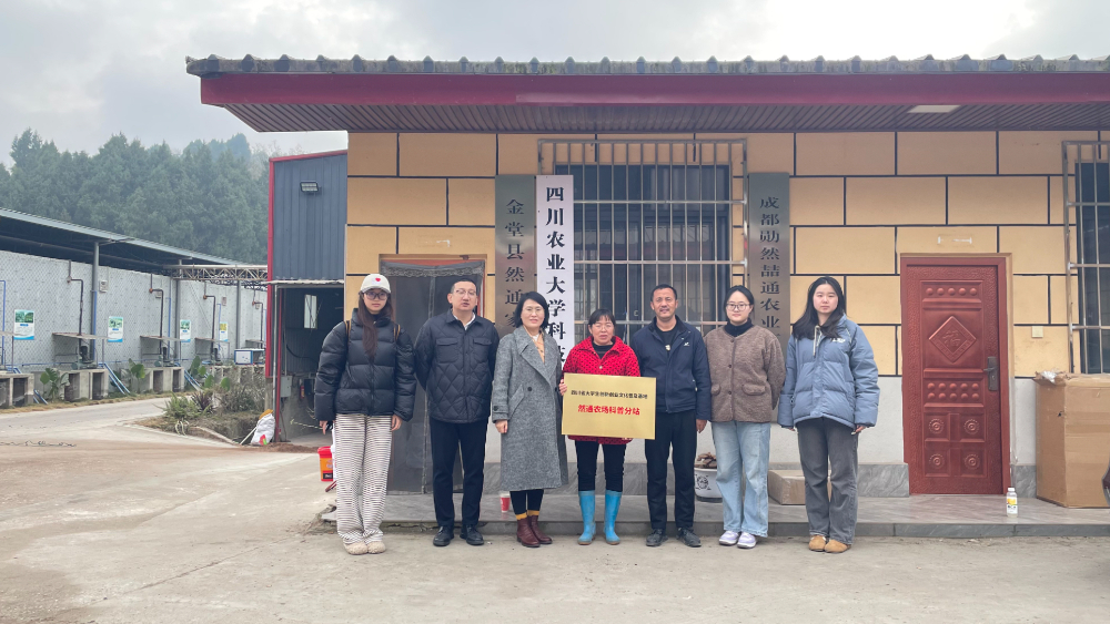 菌香引路 致富一方——金堂县然通家庭农场朱勇事迹