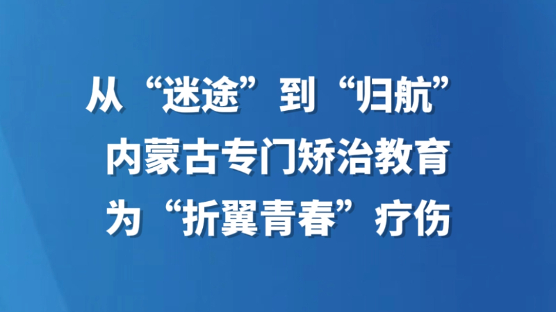 从“迷途”到“归航”