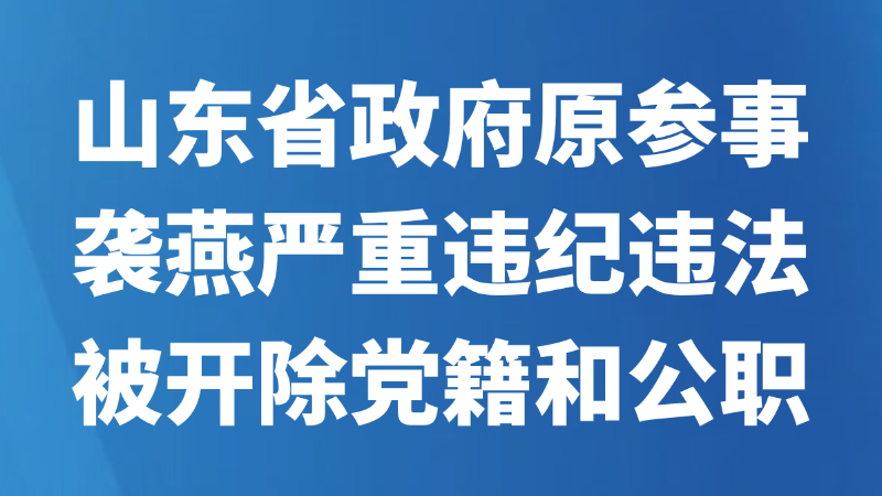 山东省政府原参事袭燕严重违纪违法被开除党籍和公职