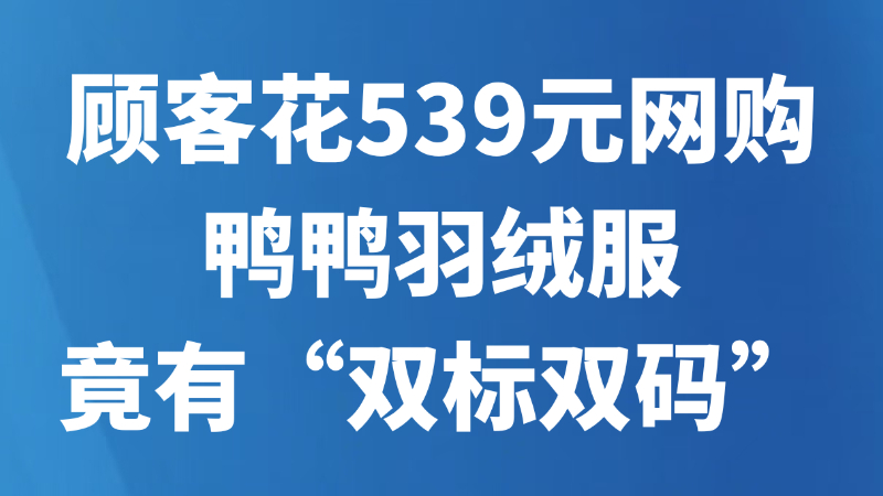 顾客花539元网购鸭鸭羽绒服竟有“双标双码”