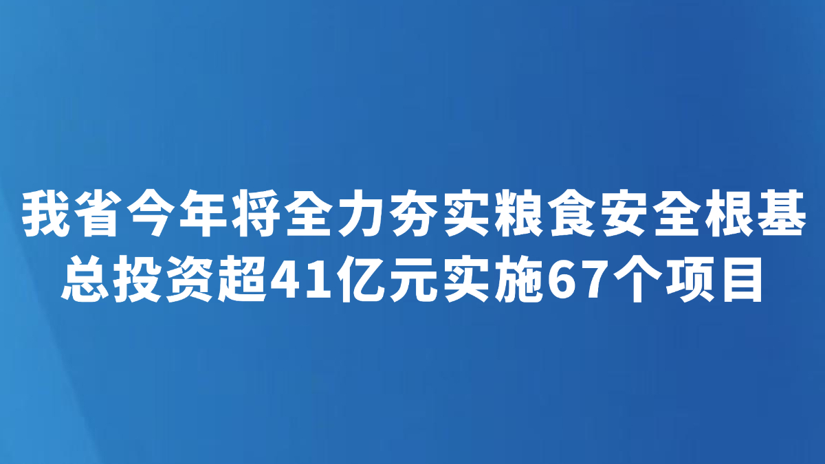 我省今年将全力夯实粮食安全根基