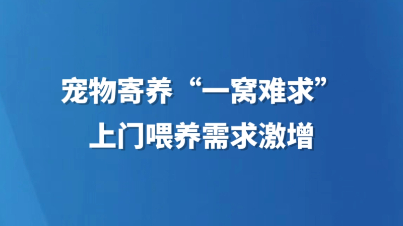 宠物寄养“一窝难求”，上门喂养需求激增