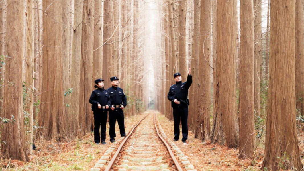 巡逻检查 护林安