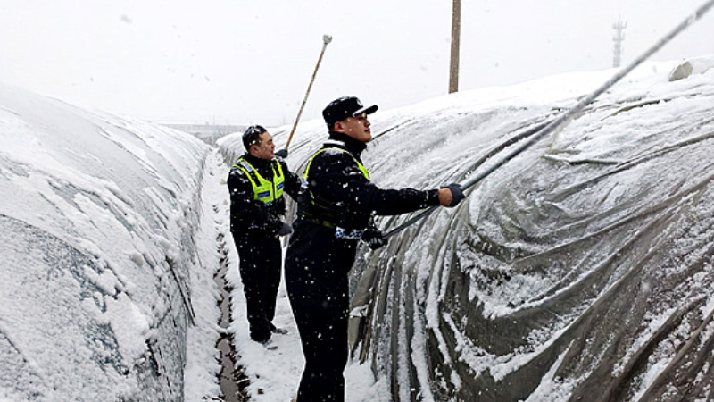 山东枣庄：那场要压垮大棚的雪和民警通红的双手