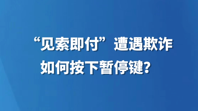 “见索即付”遭遇欺诈，如何按下暂停键？