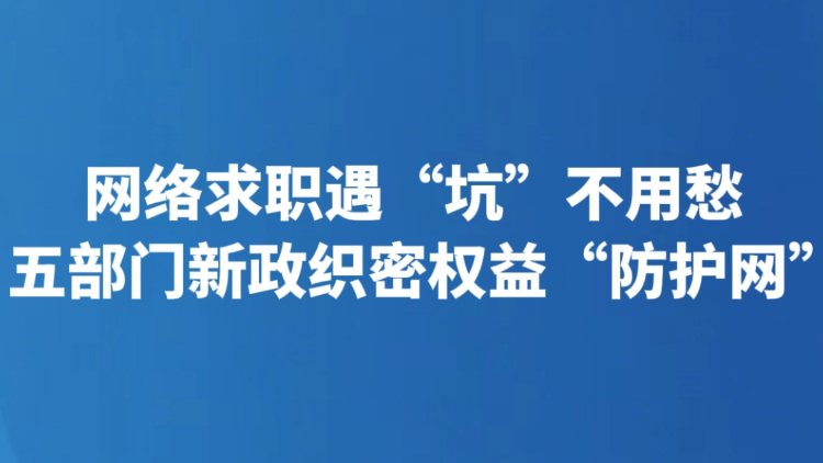 网络求职遇“坑”不用愁