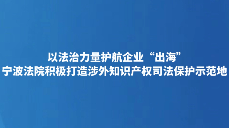 以法治力量护航企业“出海”
