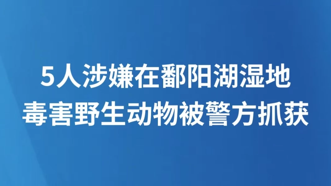 5人涉嫌在鄱阳湖湿地毒害野生动物被警方抓获