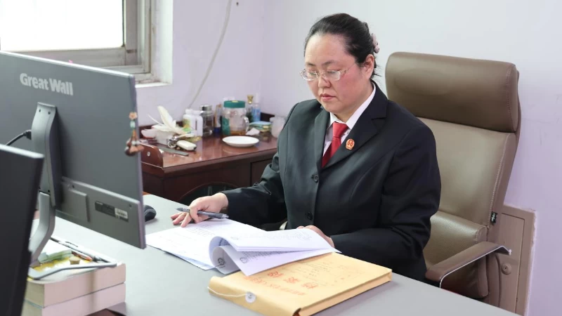 河南省南阳市卧龙区人民法院：深耕道交审判 践行为民初心