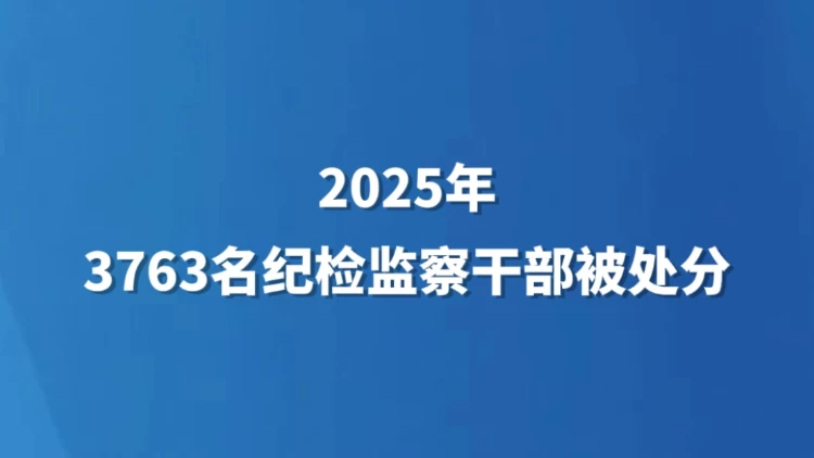 2025年3763名纪检监察干部被处分