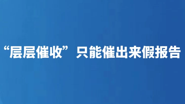 “层层催收”只能催出来假报告