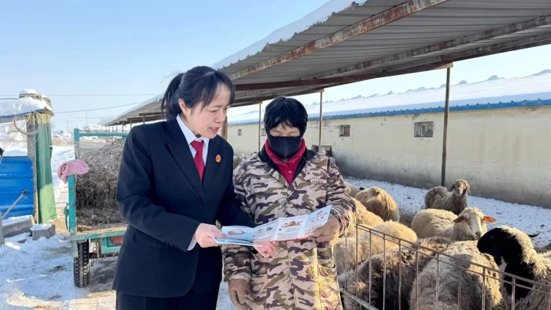 新疆生产建设兵团芳草湖垦区人民法院新湖人民法庭：法润“三农”护航养殖产业高质量发展