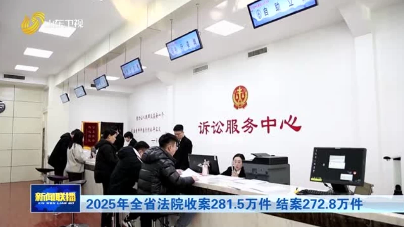 2025年全省法院收案281.5万件 结案272.8万件
