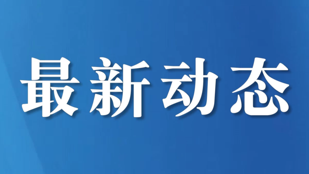 稳中求进、砥砺担当，为推进法治建设和“十五五”良好开局提供有力法治服务和保障