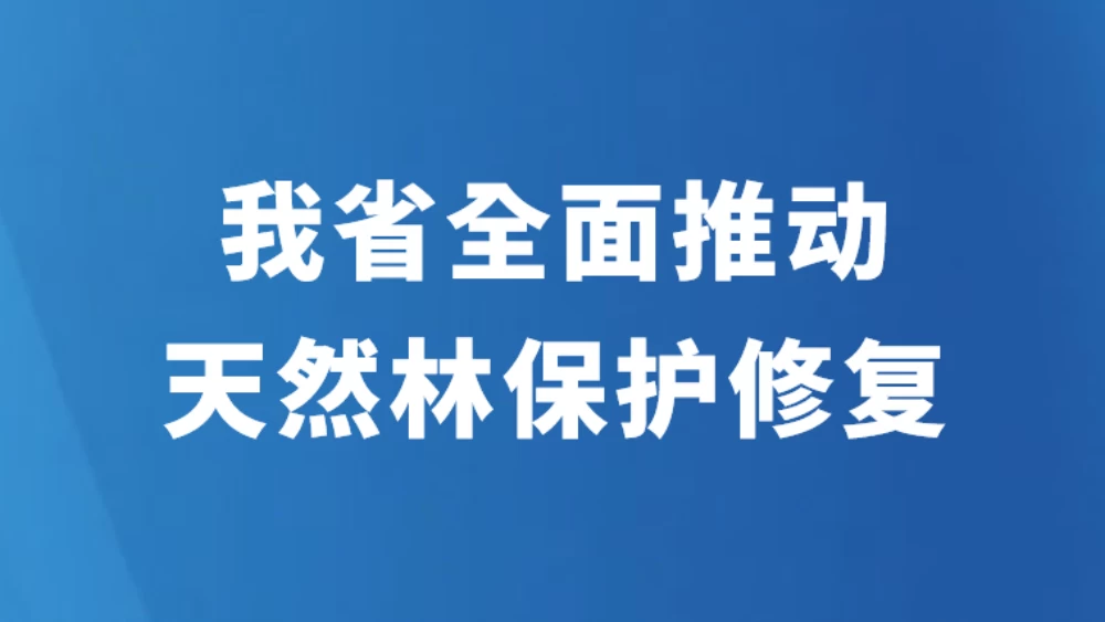 我省全面推动天然林保护修复