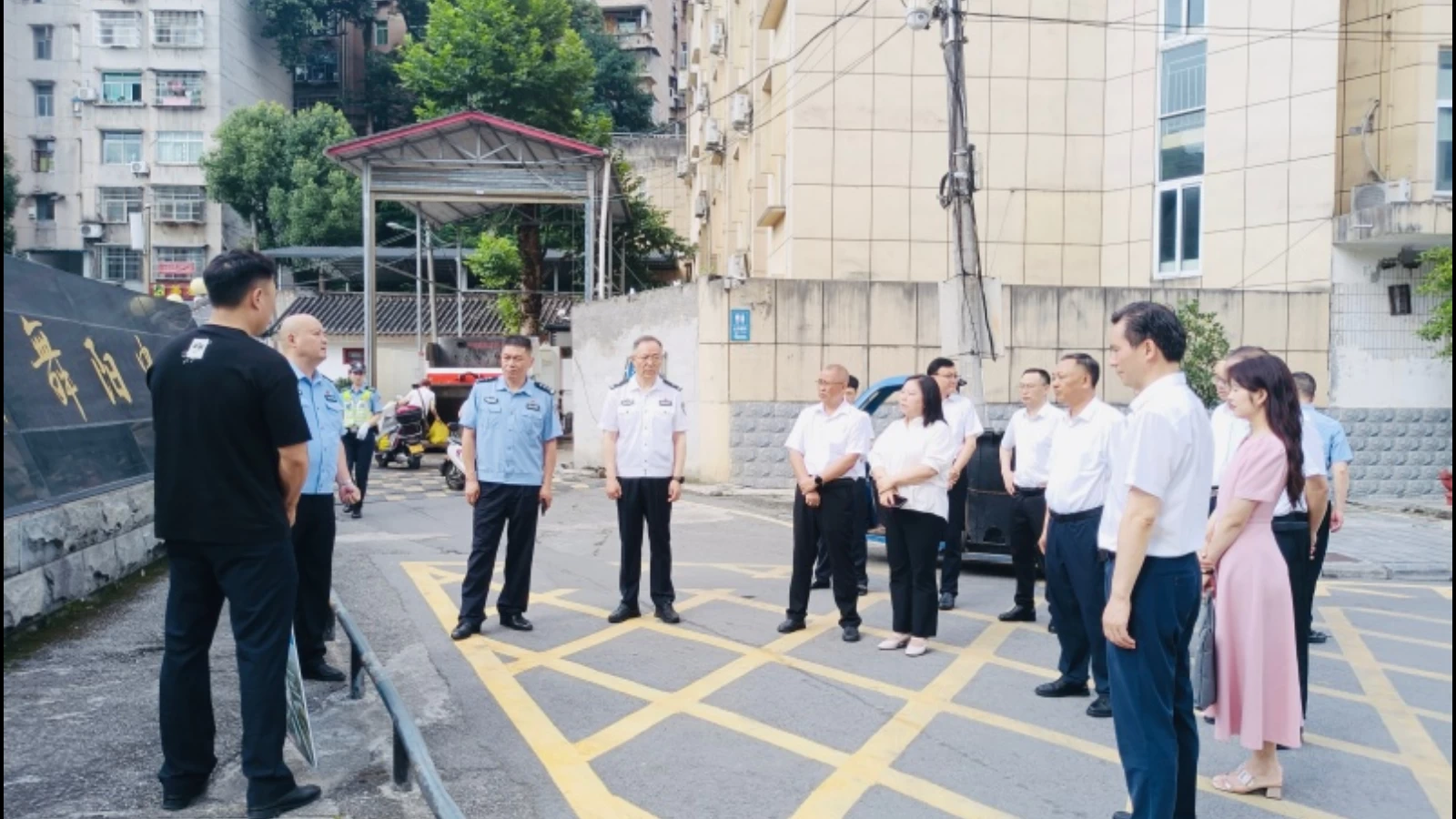 湖北恩施：专业代表小组赋能 让“泥土味”接上“专业范”