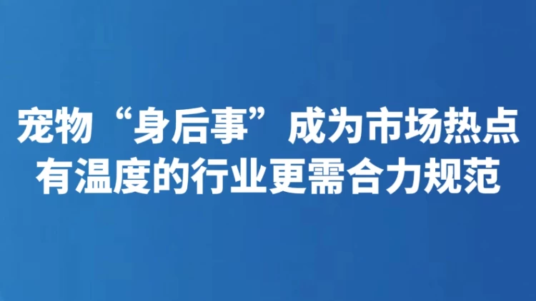 宠物“身后事”成为市场热点 有温度的行业更需合力规范