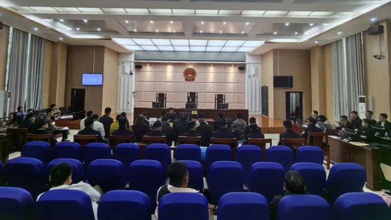 海南白沙法院：跨区域联动审判 以法护航青绿生态