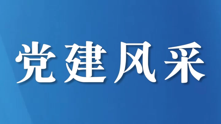 2025年党支部书记抓党建工作述职暨党风廉政建设述责述廉会议