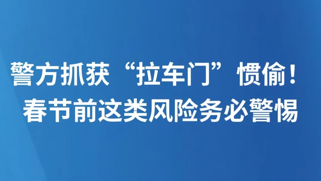 警方抓获“拉车门”惯偷！春节前这类风险务必警惕
