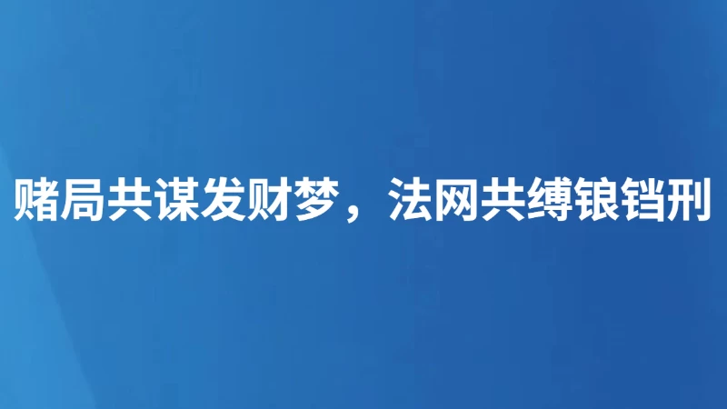 赌局共谋发财梦，法网共缚锒铛刑