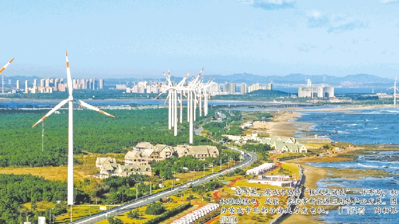 打造绿色低碳发展高地，山东如何先行