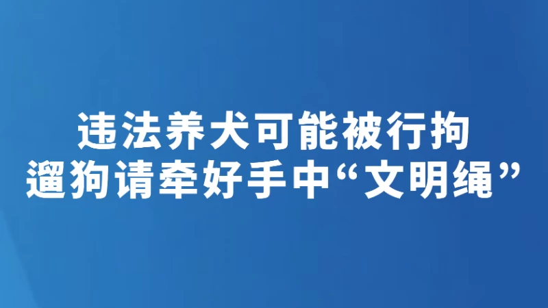 遛狗请牵好手中“文明绳”