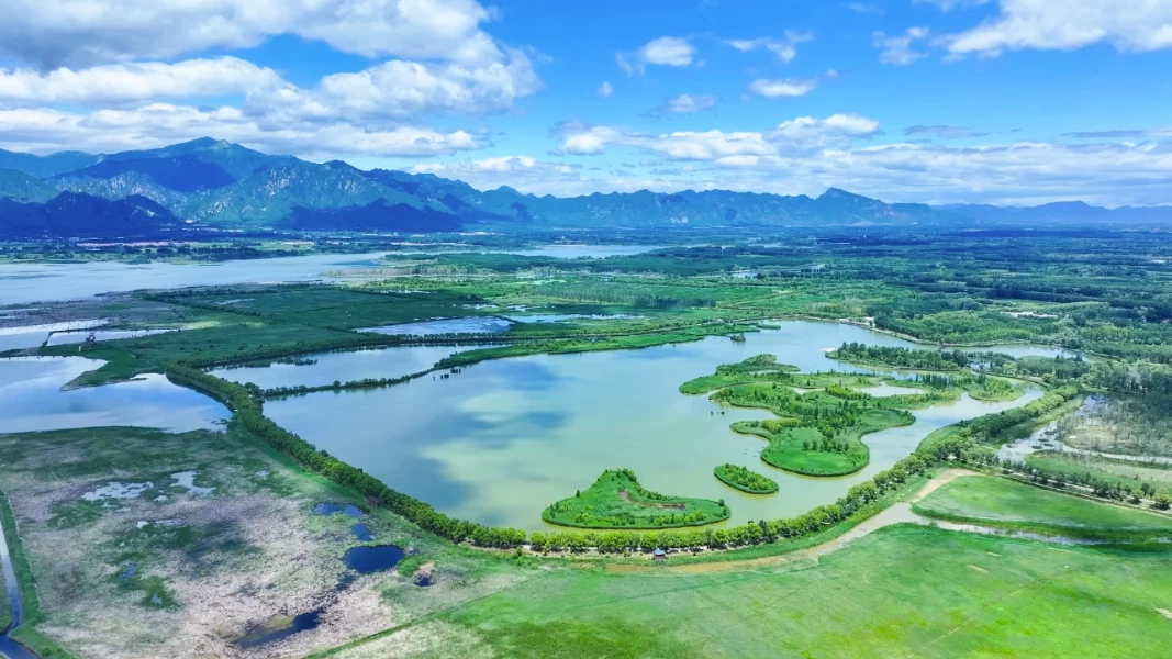 国家林业和草原局：我国形成湿地保护发展新格局 全国湿地面积位居亚洲第一