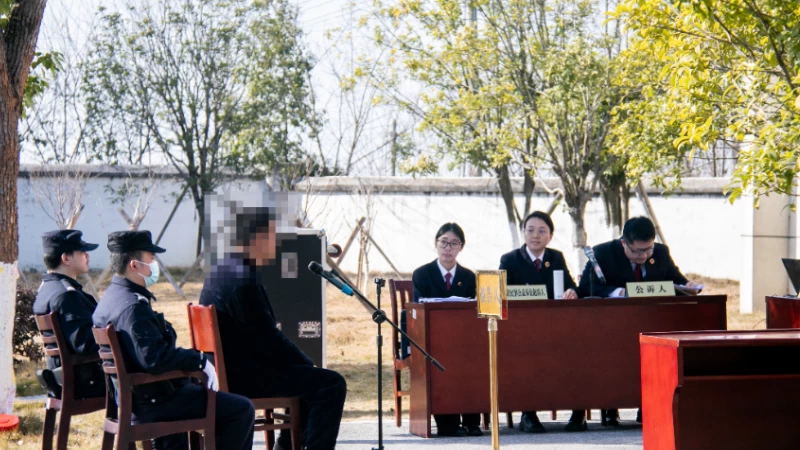 猎捕200余只野生鸟类获刑！岳阳云溪巡回法庭搬进湿地公园，以案释法护生态